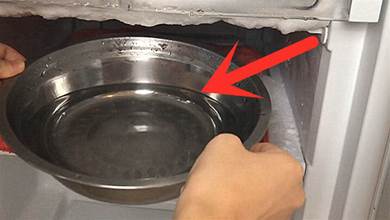 冰箱用久了總有異味，只需碗裡放點它，異味消失，抑菌殺菌