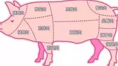 想吃豬肉，不知道買哪個部位好？1張圖教你認全豬肉，肉販以為你是內行，不敢忽悠你